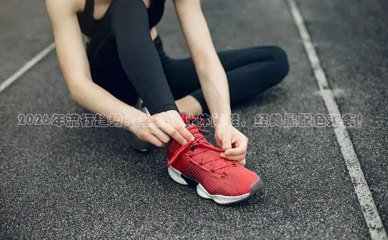 蜘蛛体育直播在线看